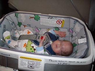 image of baby in car bed